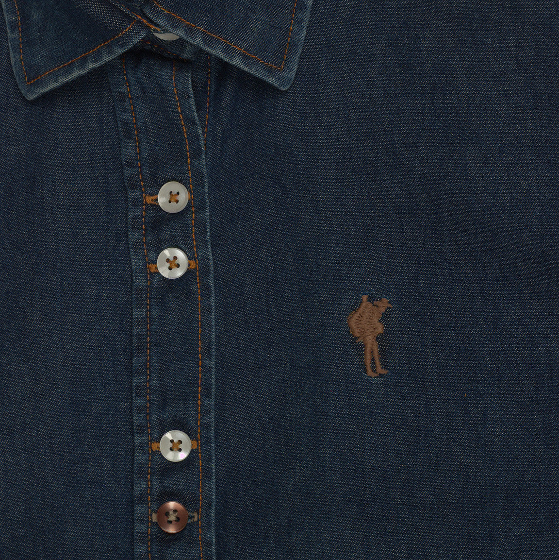 Camisa JEANS CLÁSSICA // JANE NaFronteira
